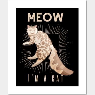 Meow, I’m a cat - Cashmere cat Posters and Art